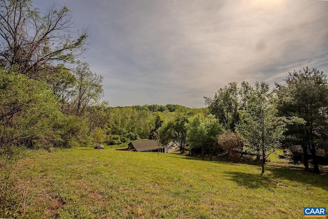 551 Bremo Rd, Bremo Bluff, VA 23022 - view of yard featuring a wooded view