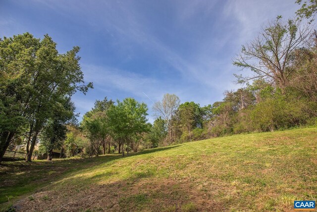 551 Bremo Rd, Bremo Bluff, VA 23022 - view of yard