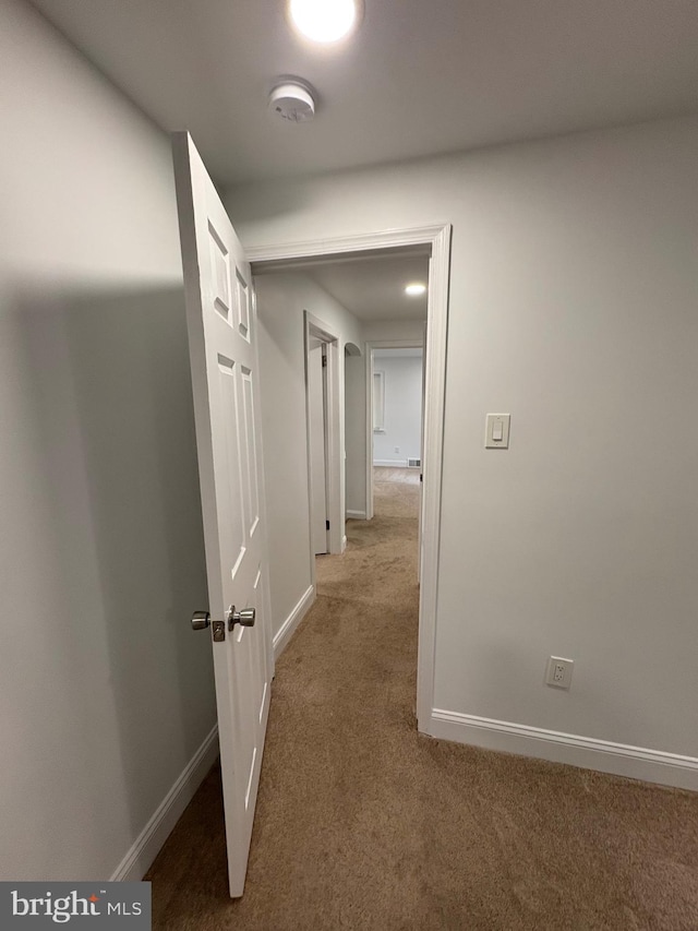 7915 New Second St, Elkins Park, PA 19027 - corridor featuring carpet and baseboards