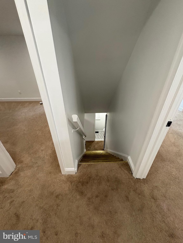 7915 New Second St, Elkins Park, PA 19027 - stairway featuring carpet floors and baseboards
