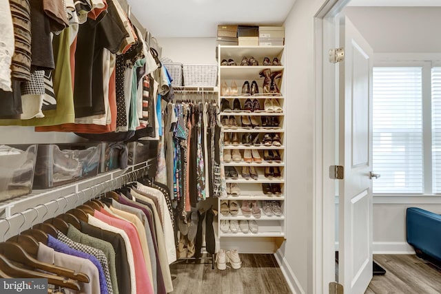 walk in closet with wood finished floors