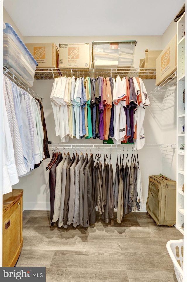 spacious closet featuring wood finished floors