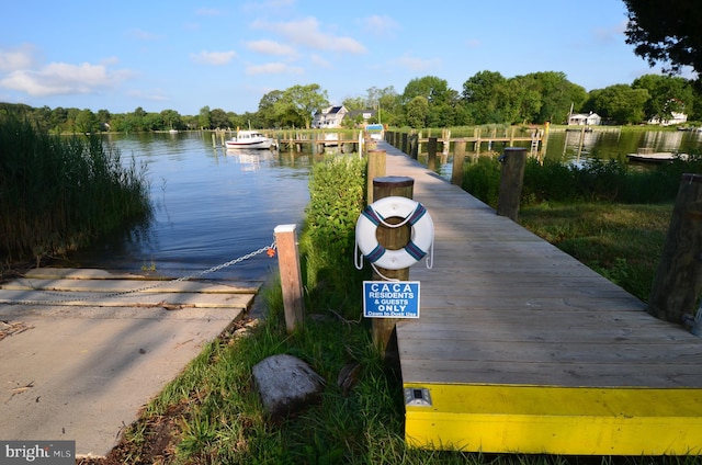 dock area with a water view