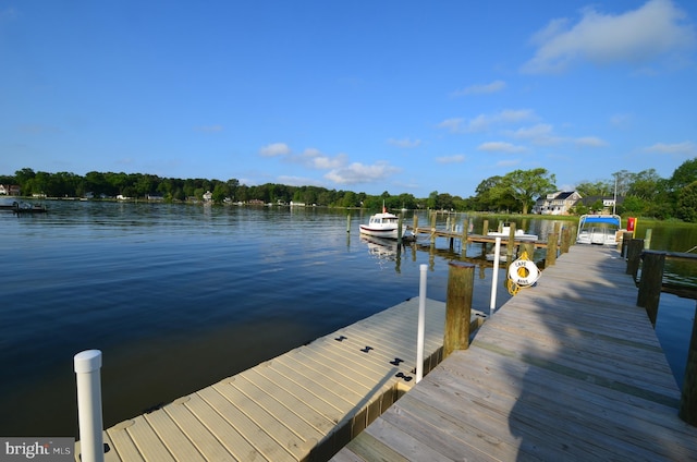 dock area with a water view