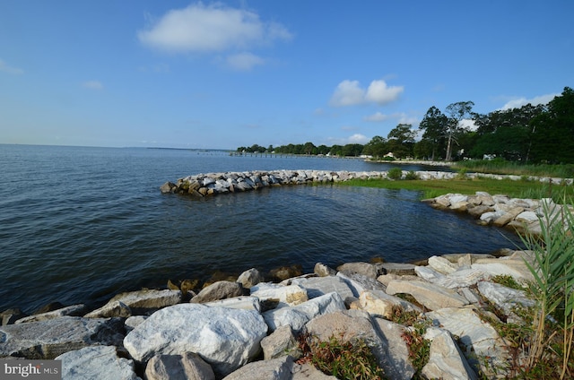 view of water feature