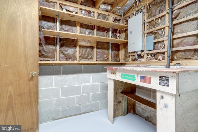 storage room featuring electric panel