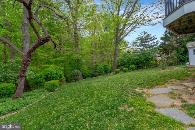 view of yard featuring a balcony