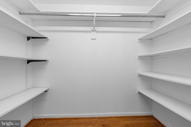 2648 Redcoat Dr Unit 99 1C, Alexandria, VA 22303 - walk in closet with wood finished floors