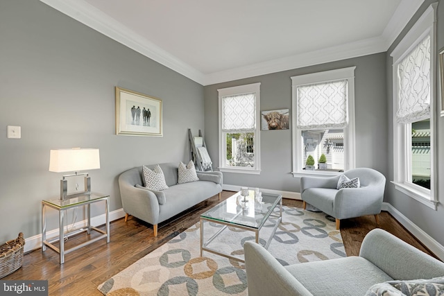 41972 Paddock Gate Pl, Ashburn, VA 20148 - living area with ornamental molding, baseboards, and wood finished floors