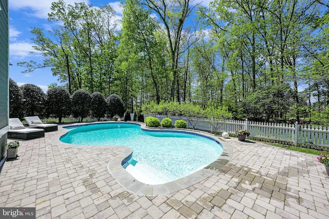 41972 Paddock Gate Pl, Ashburn, VA 20148 - view of pool featuring a patio and a fenced backyard