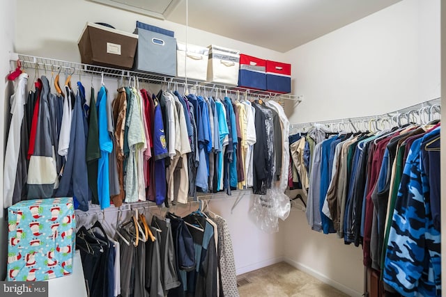 spacious closet featuring carpet flooring