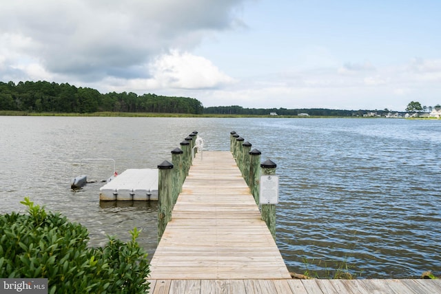 dock area with a water view
