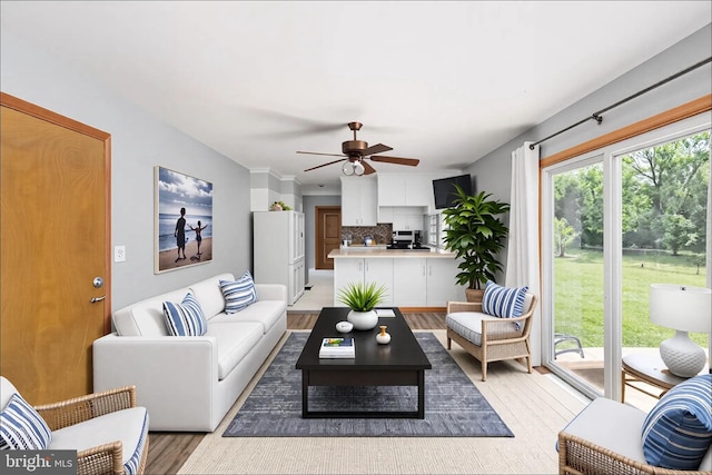 79 Darl Cir, Colonial Beach, VA 22443 - living room featuring ceiling fan and light wood-type flooring