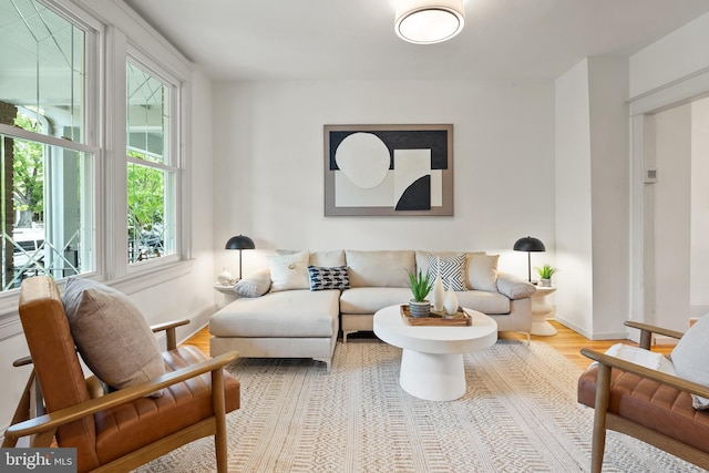 living room with baseboards and wood finished floors