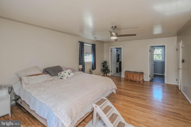 bedroom with a walk in closet, a ceiling fan, baseboards, a closet, and light wood-style floors