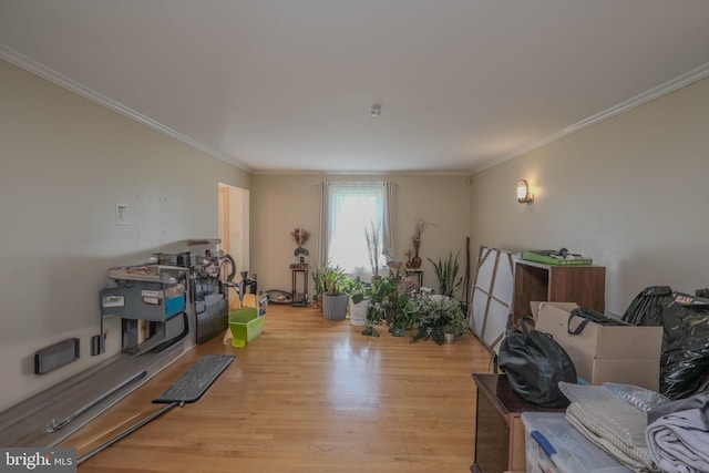 misc room with ornamental molding and light wood-style flooring