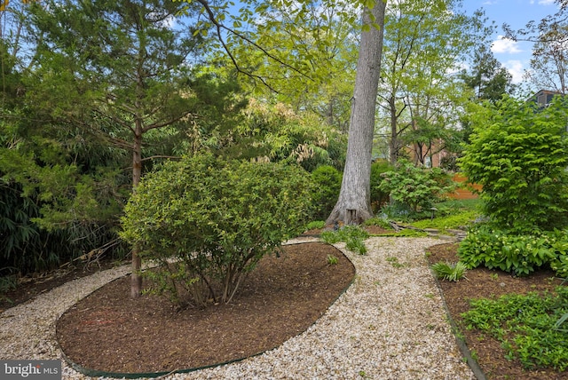 2006 Scroggins Rd, Alexandria, VA 22302 - view of yard