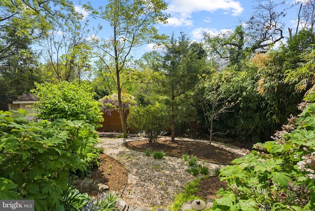 2006 Scroggins Rd, Alexandria, VA 22302 - view of yard