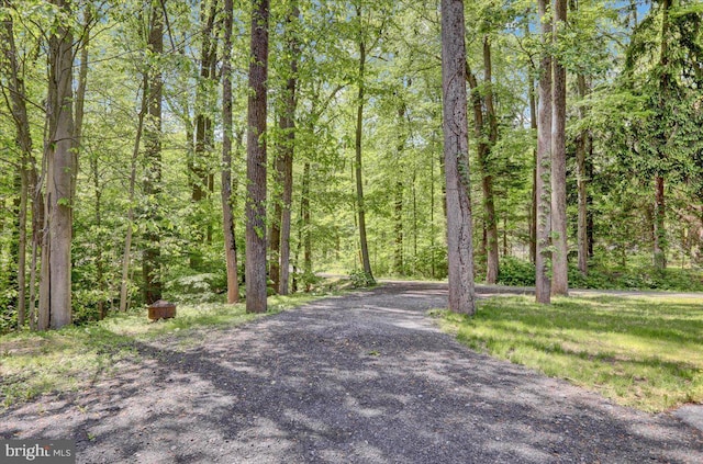 view of street featuring a view of trees