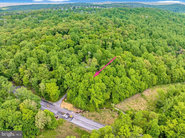 drone / aerial view of a heavily wooded area