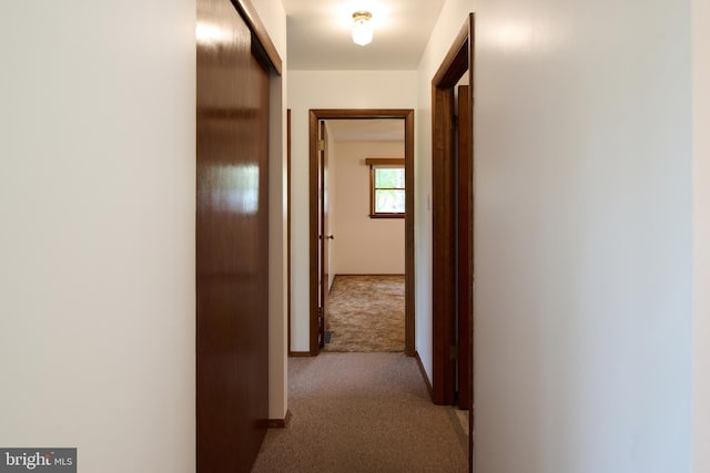 hall featuring light colored carpet