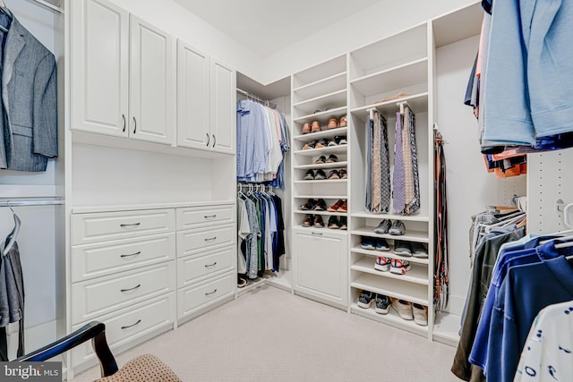 walk in closet featuring carpet floors