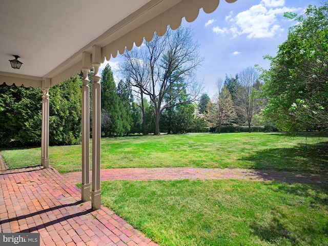 view of yard with a patio area