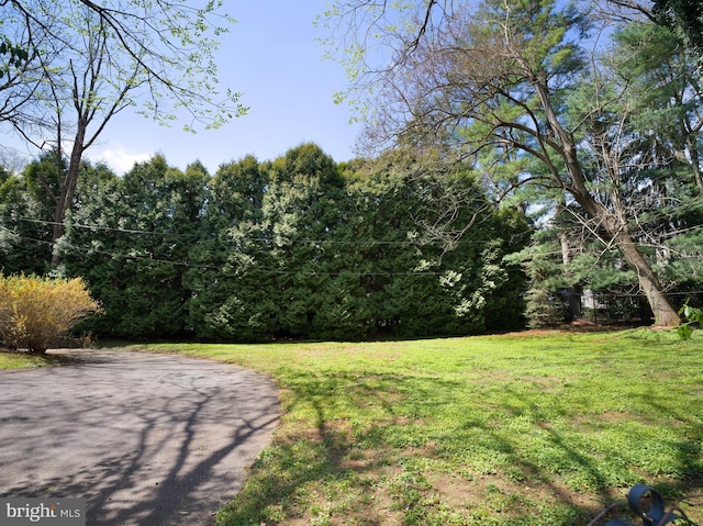 exterior space with a forest view