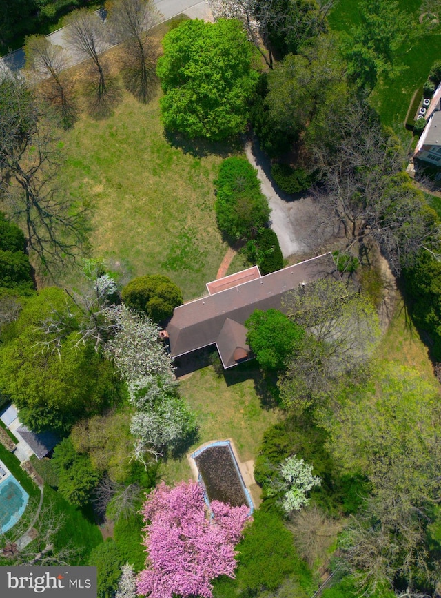 drone / aerial view