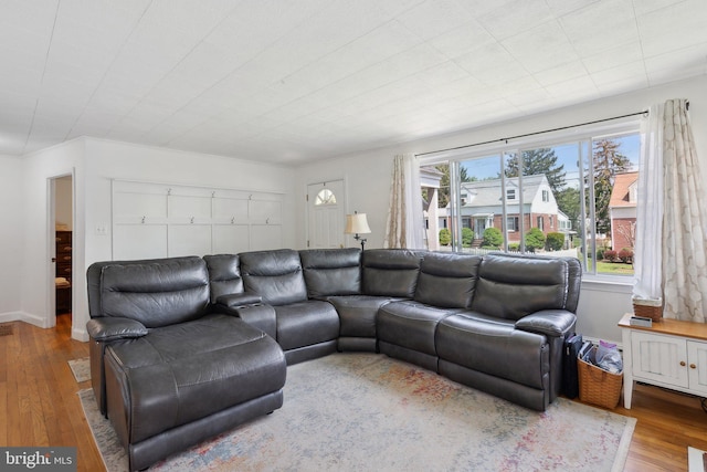 living area featuring hardwood / wood-style floors