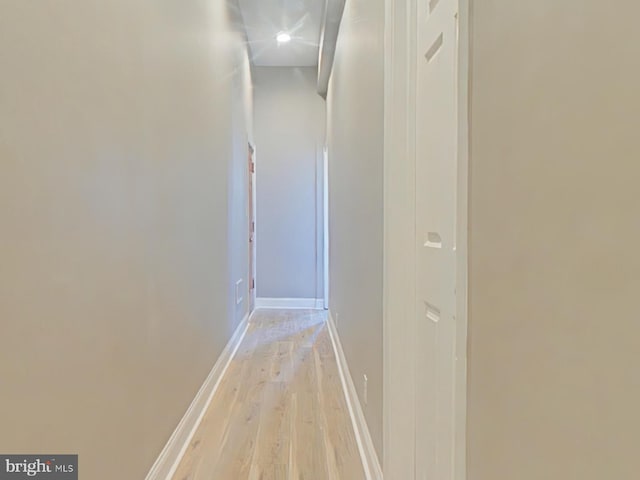2138 N 18th St, Philadelphia, PA 19121 - corridor with light wood-style floors and baseboards