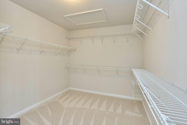 spacious closet featuring light colored carpet and attic access