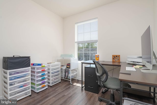 home office featuring wood finished floors