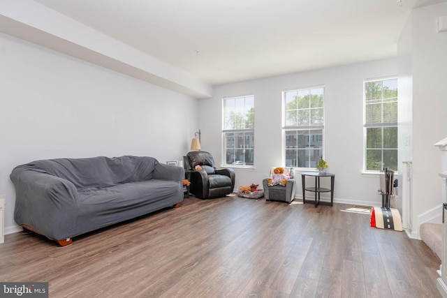 living room featuring baseboards and wood finished floors