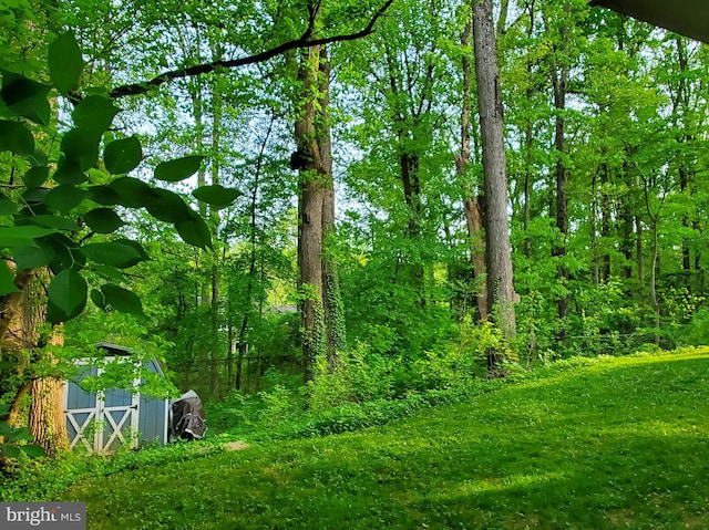 view of yard with an outdoor structure, a storage shed, and a forest view