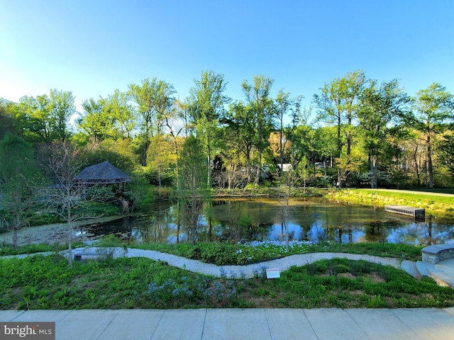 view of water feature featuring a gazebo