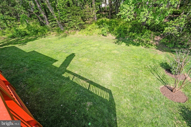 13423 Fairland Park Dr, Silver Spring, MD 20904 - view of yard