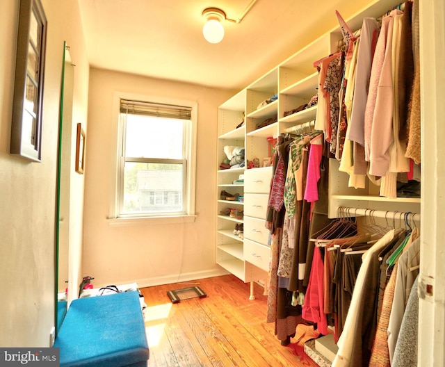 walk in closet with wood-type flooring