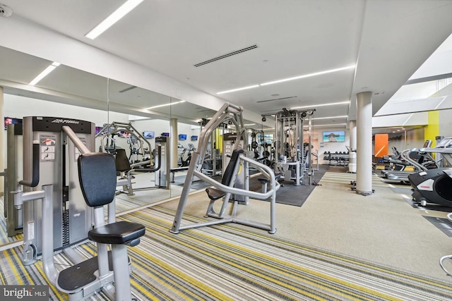 workout area featuring carpet flooring