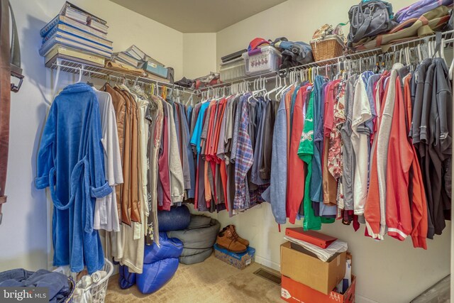 walk in closet featuring visible vents and carpet flooring