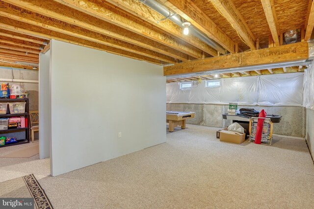 basement with carpet floors