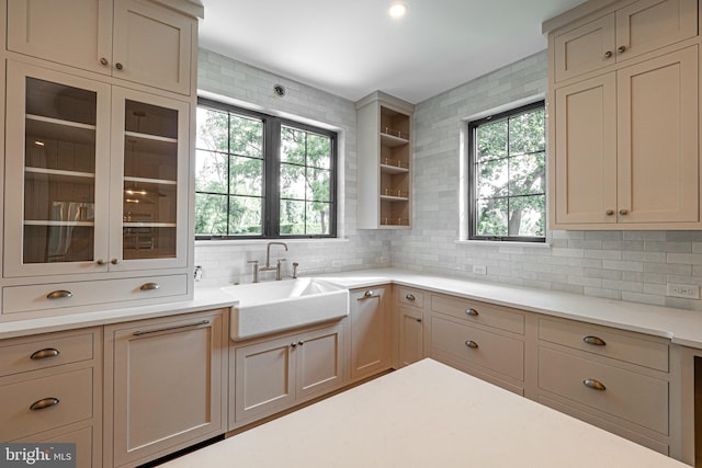 301 Reservoir Rd Lot A Front, Lot A Front, West Chester, PA 19380 - kitchen featuring light countertops, decorative backsplash, glass insert cabinets, and a sink
