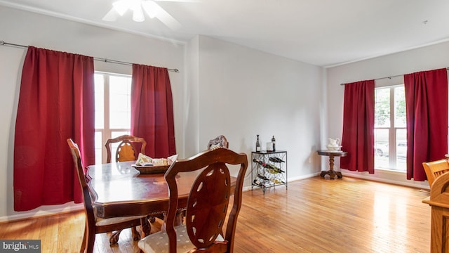 dining room featuring light wood-type flooring, a ceiling fan, and baseboards