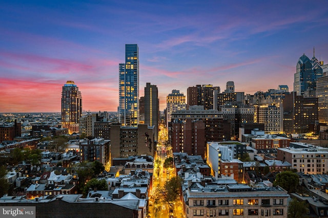 1207 Spruce St Unit 301, Philadelphia, PA 19107 - city view