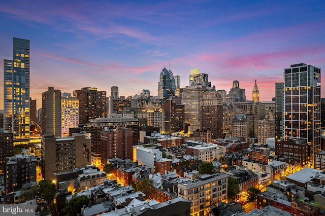 1207 Spruce St Unit 301, Philadelphia, PA 19107 - property's view of city