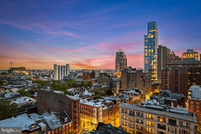 1207 Spruce St Unit 301, Philadelphia, PA 19107 - property's view of city