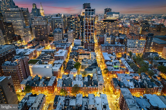 1207 Spruce St Unit 301, Philadelphia, PA 19107 - view of city