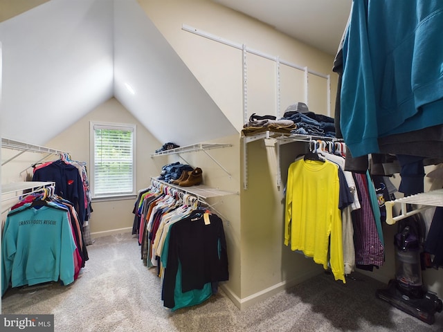 10037 Grapevine Rd, Mardela Springs, MD 21837 - spacious closet featuring carpet floors and lofted ceiling