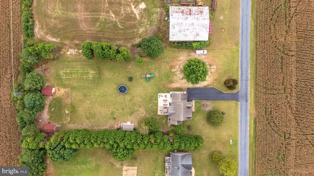 10037 Grapevine Rd, Mardela Springs, MD 21837 - view of property location