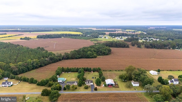 10037 Grapevine Rd, Mardela Springs, MD 21837 - overview of rural landscape featuring farmland